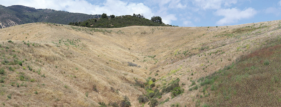 Dry foothills near the District's Corona Del Mar Water Treatment Plant.