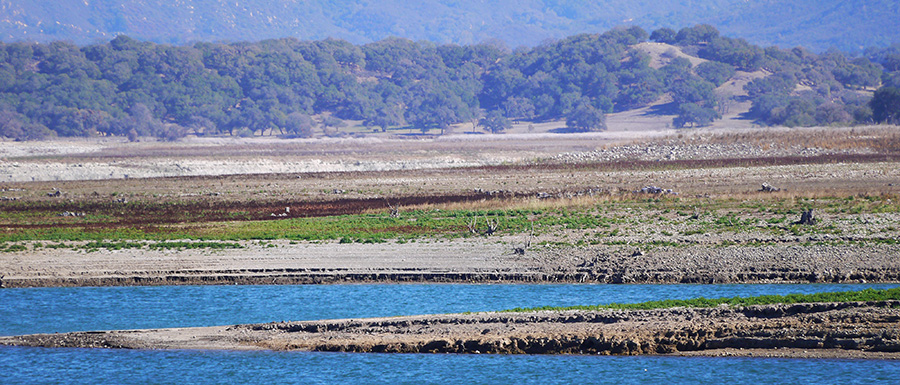 Lake Cachuma