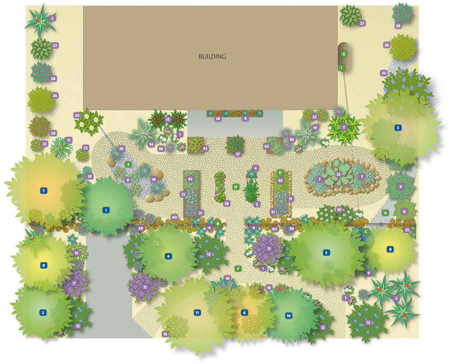Map of an edible garden