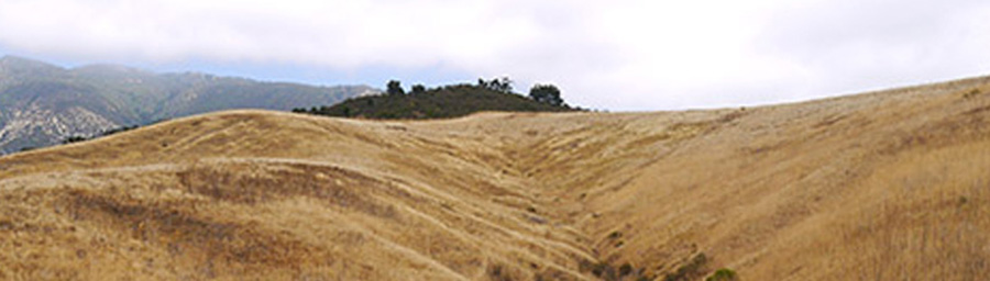 Severe drought
