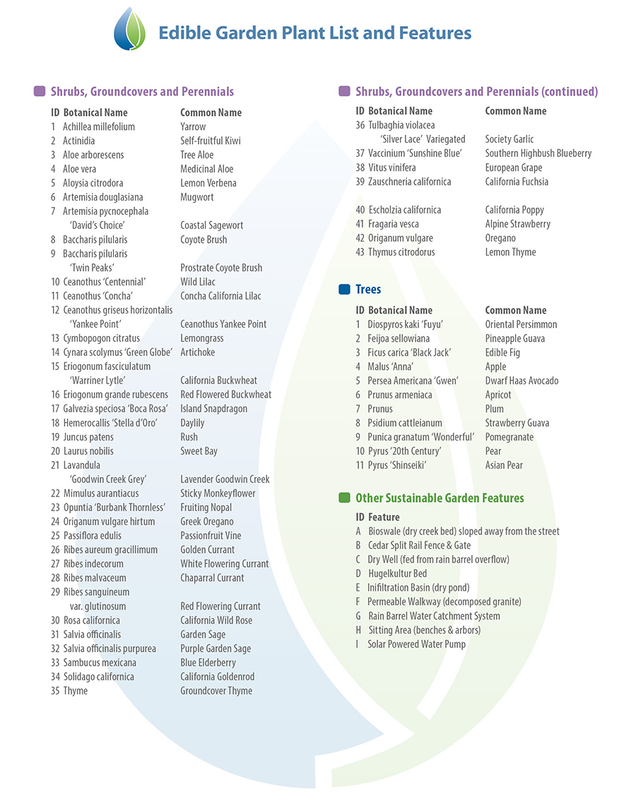 Edible garden plant list and features.