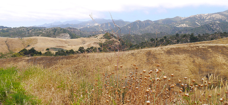 Slippery Hills Ranch