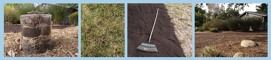 Photos showing before and after removing a lawn.