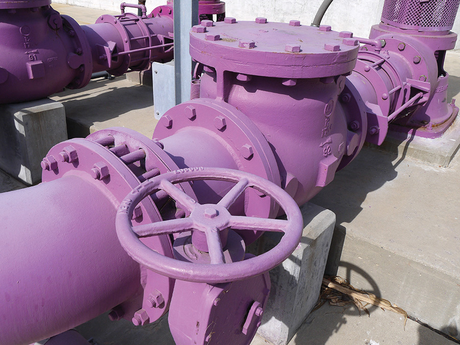 Purple-colored pipes
