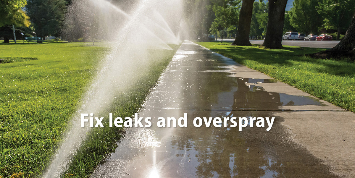 Fix leaks and overspray (lawn sprinklers irrigating the sidewalk as well as the lawn)