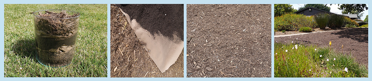 Lawn removal