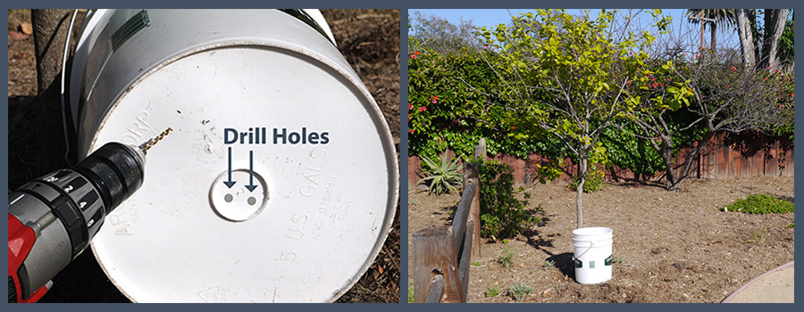 Bottom of white bucket with area marked for drilling holes for water drainage