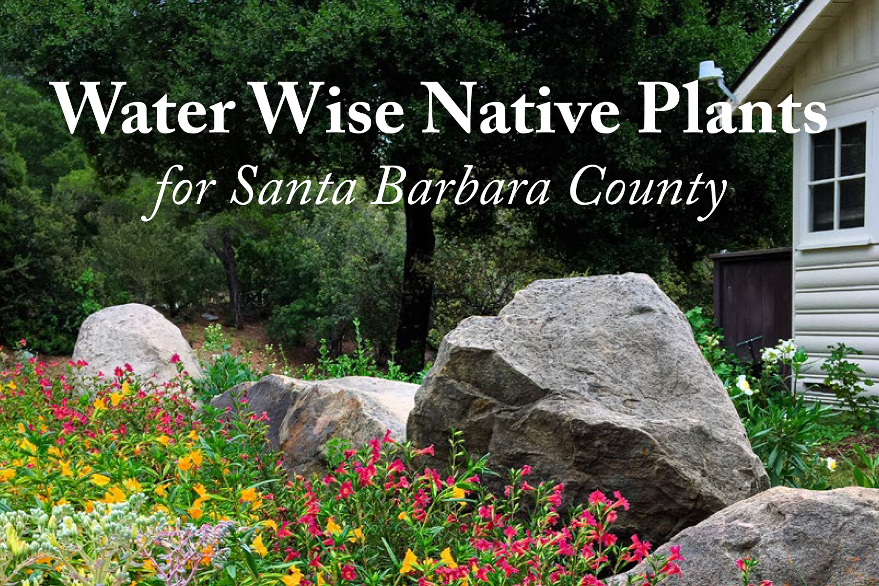 Water Wise Native Plants for Santa Barbara County